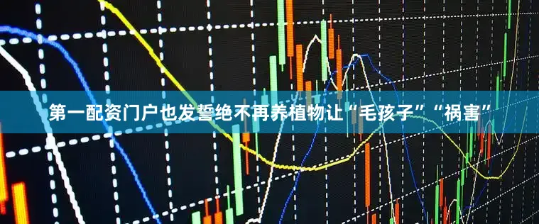 第一配资门户也发誓绝不再养植物让“毛孩子”“祸害”
