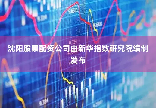 沈阳股票配资公司由新华指数研究院编制发布